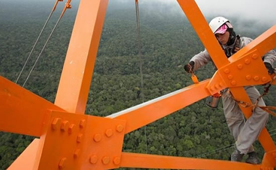 The Amazon Tower Observatory