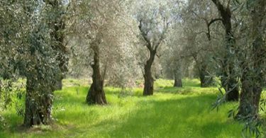 κλιματική αλλαγή