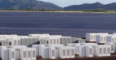 Tesla Hawaii