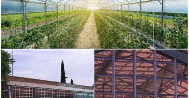 Ενεργειακά αυτόνομο θερμοκήπιο