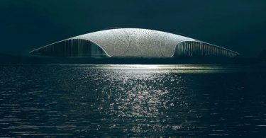 The Whale
