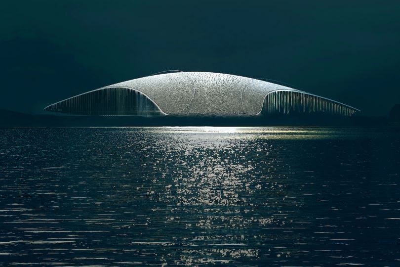 The Whale